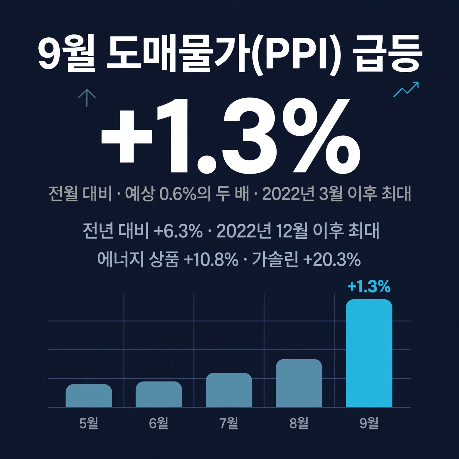 PPI 인포그래픽